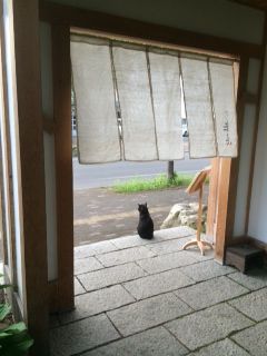 恋する猫