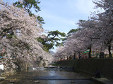DSCF1138
