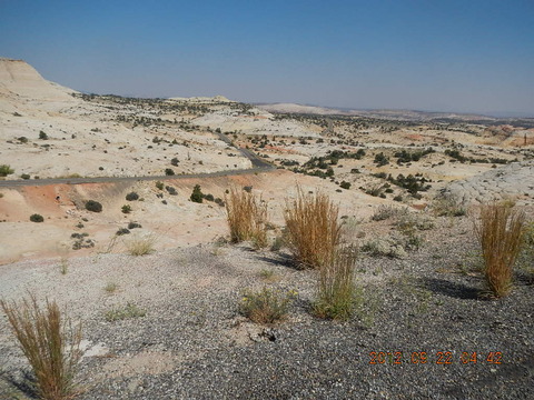 DSCN1810