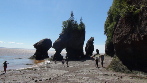 DSC00730