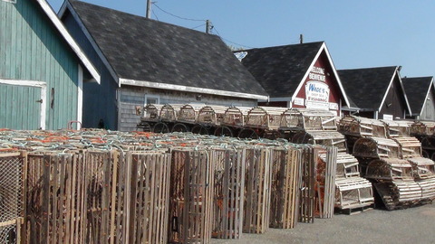 DSC00802