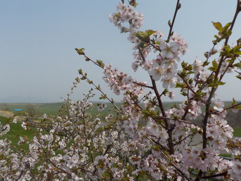 DSCN1908