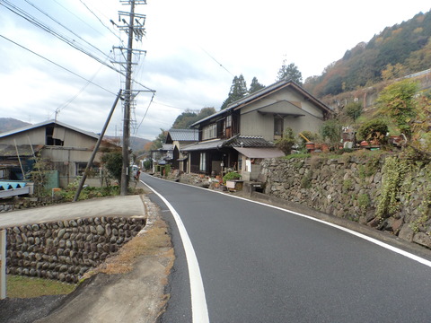 DSC00229