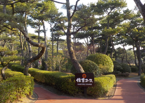 DSCN0852