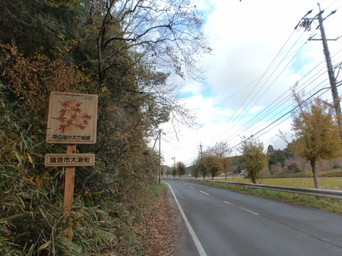 DSC00241