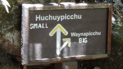 DSC01100