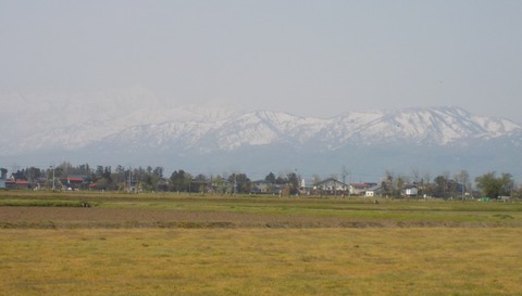 DSCN1495