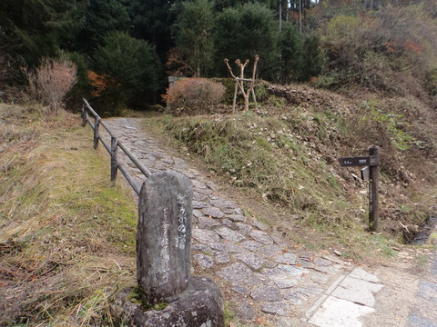 DSC00214
