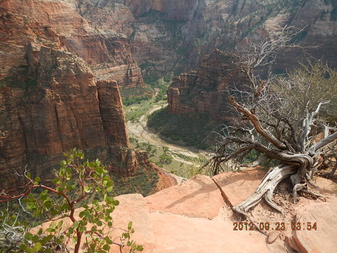 DSCN1990