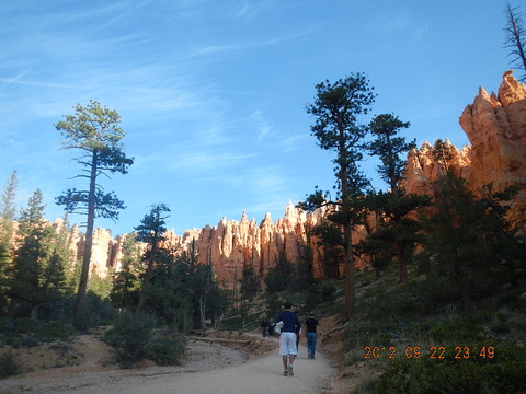 DSCN1894