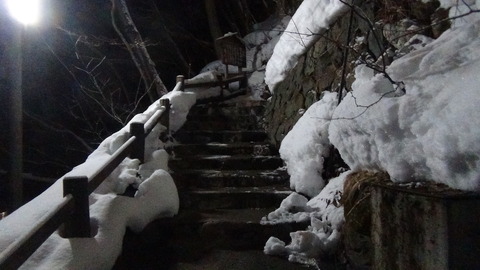 DSC01778
