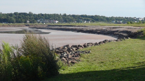 DSC00736