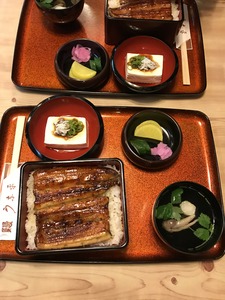 鰻