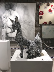 狐