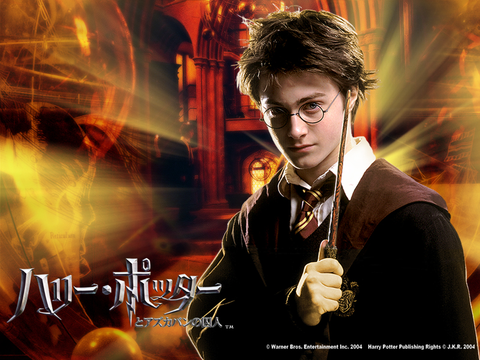 ハーリーポッターが投資家として成功