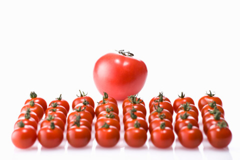 富裕層と貧困層