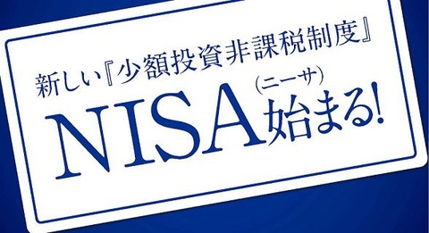 NISAの問題点