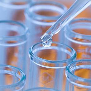 STAP細胞ねつ造で関連銘柄暴落か