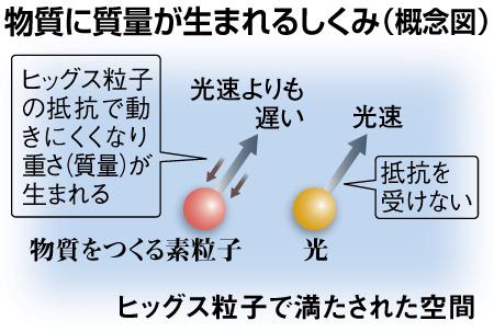 img_490155_8843928_1