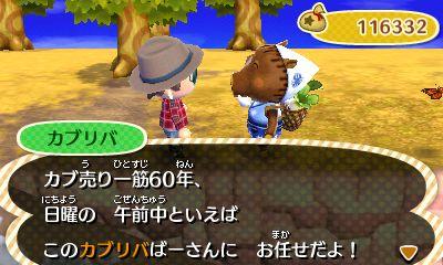 どうぶつの森のカブ