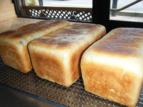 125500078920816300830