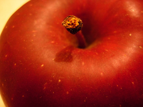 297278826_23226a3945