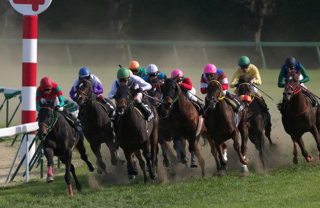競馬の必勝法