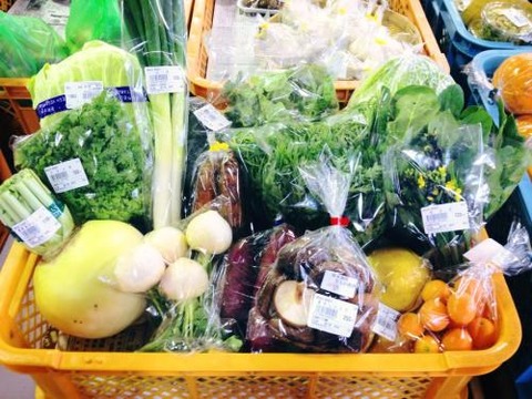 道の駅の野菜は新鮮