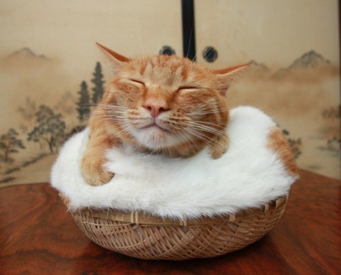 FXで負けている人