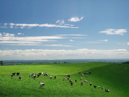 夏の北海道旅行