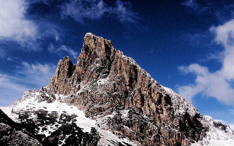 山に住む投資家