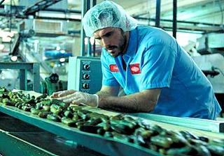 期間工がFXで億万長者