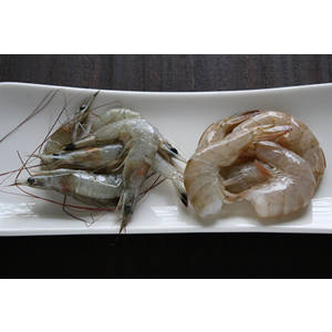 食品偽装なら高島屋にお任せ!