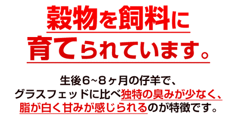 グレインフェッド