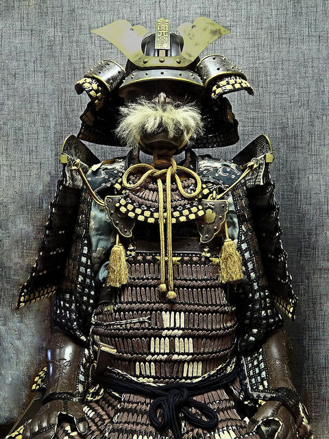 8686914577_7884599ac4_z