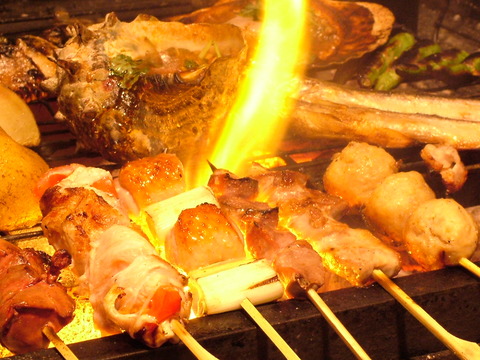 fd_gptSIImage20080909113302