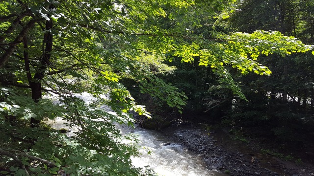 _20170823_131622 (1)