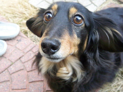 404579900_78a8188c83