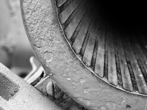 494718607_a0e9966529