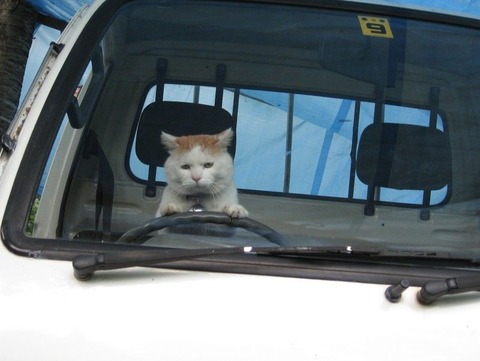 トラック運転手