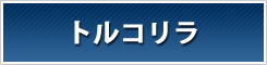 トルコリラ 比較