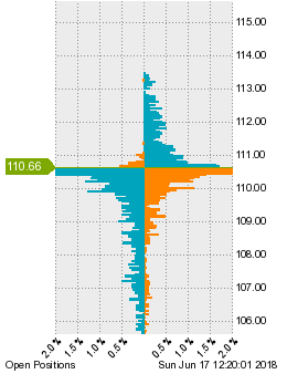 未決済のポジション状況