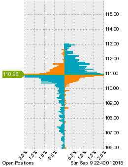 未決済のポジション状況