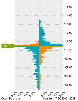 未決済のポジション状況