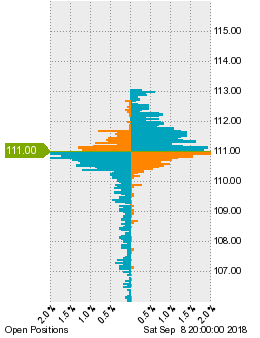 未決済のポジション状況