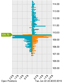 未決済のポジション状況