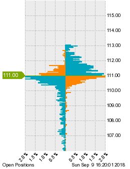 未決済のポジション状況
