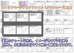 fxnavi05