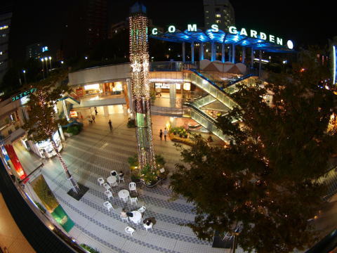 osa