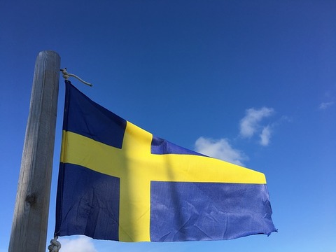the-swedish-flag-2975686_640